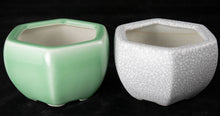 Fine Hexagon Keishi, Shito, Mame Bonsai Pot with Mesh 3.5"x 3.5"x 2.5" - Greem/White